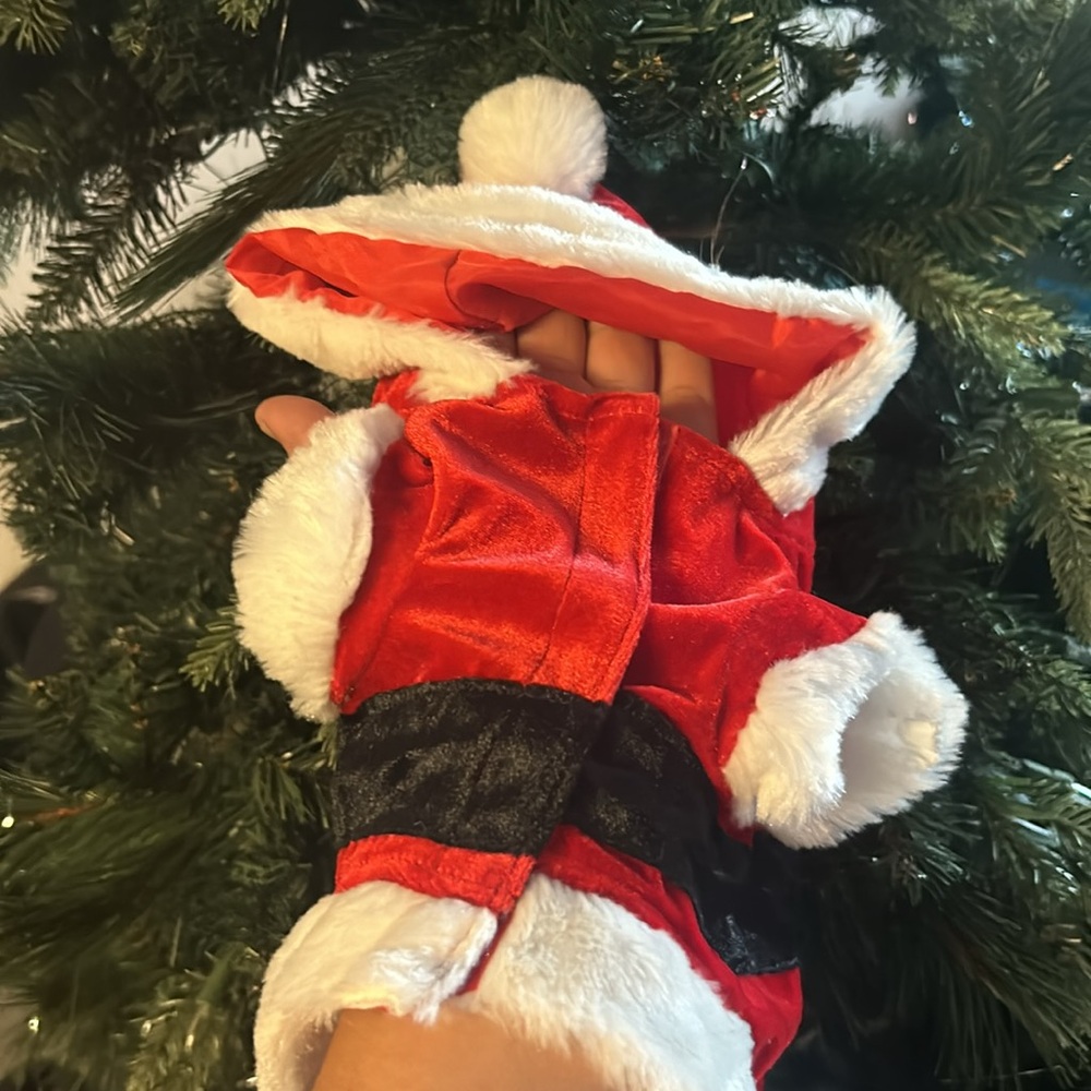 Small dog Christmas Santa costume - Picture 2 of 2